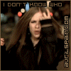 07.gif