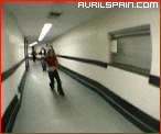 013.gif