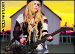014.gif