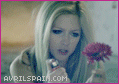 03.gif