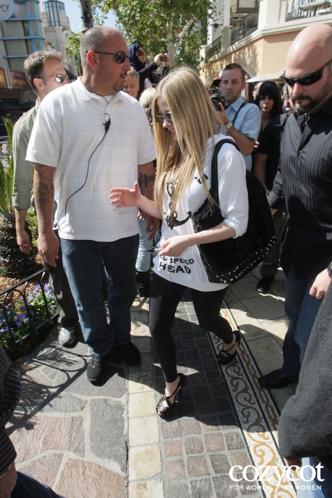 8126038-r.jpg