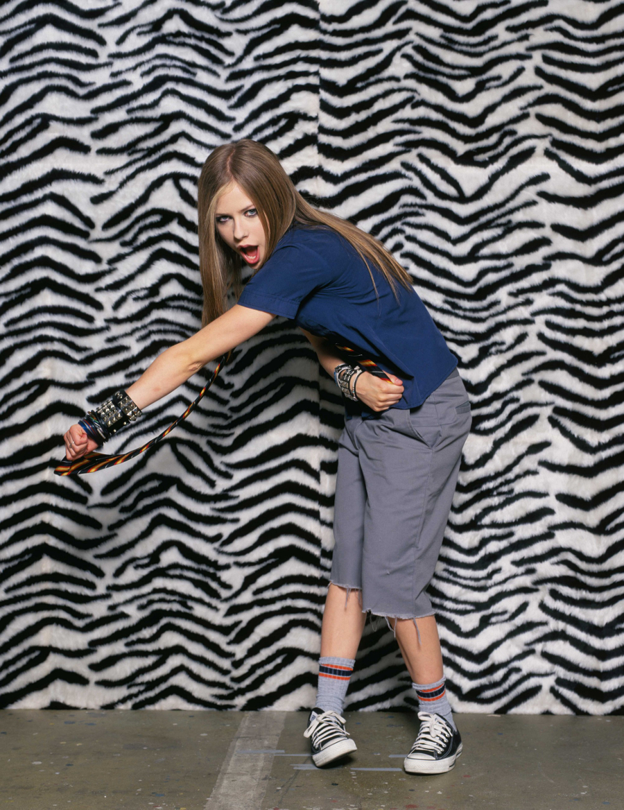 zebra10.jpg