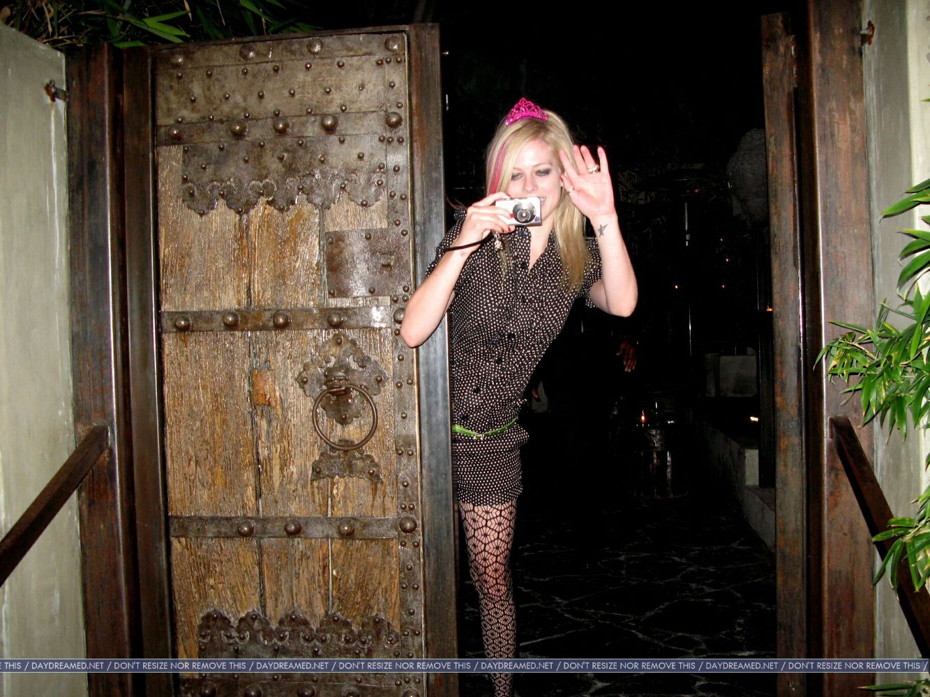 010.jpg